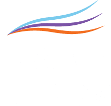 Rare Birds - Creating Diverse and Inclusive Work Cultures