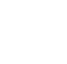 Rare Birds