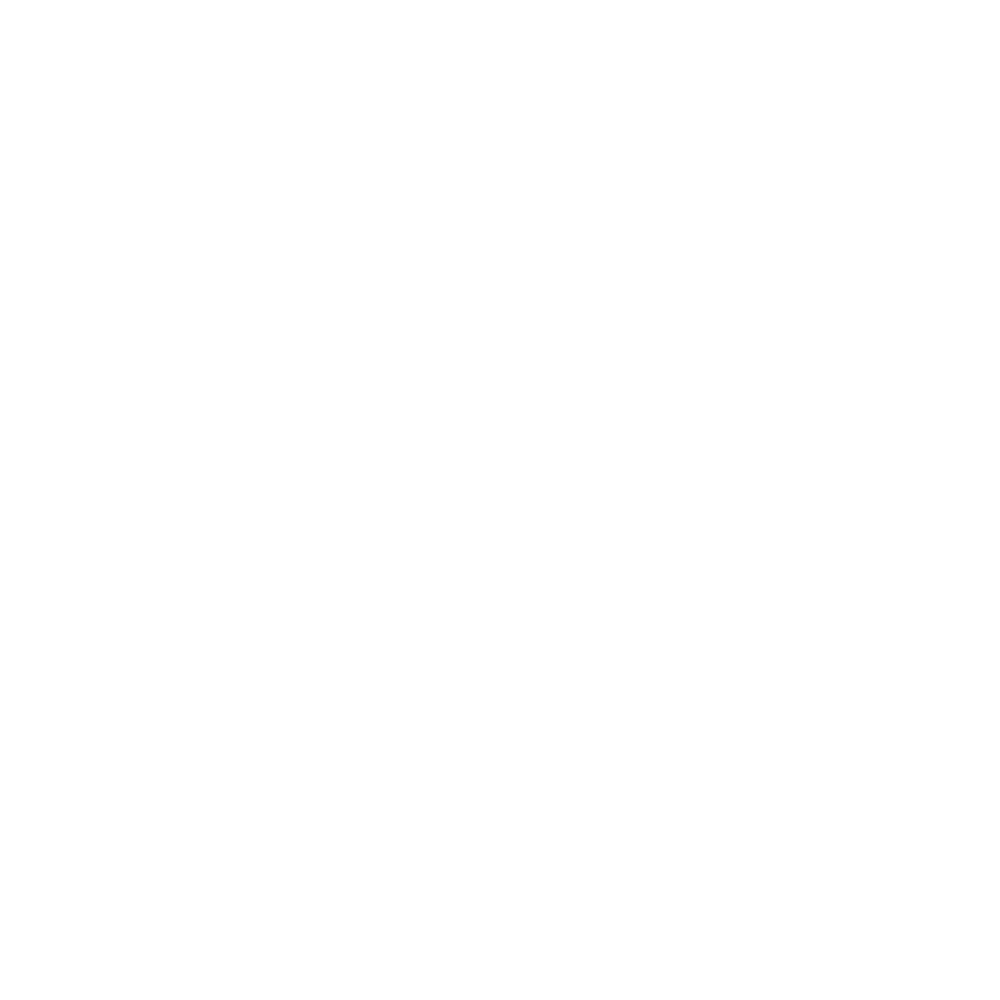 Rare Birds logo white